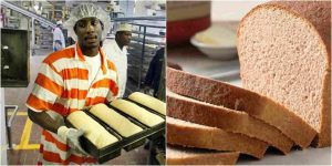 Bread makers