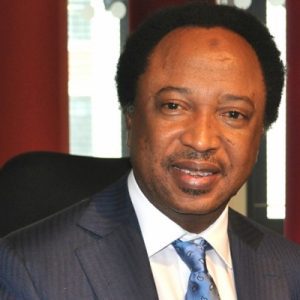 Sen.-Shehu-Sani