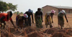 Women Farmers