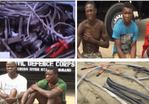 Cable vandals