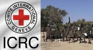 ICRC Boko Haram-TVC
