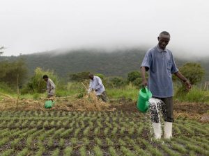 agric