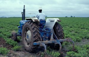 Farming-TVC