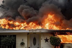 wild fire-TVC