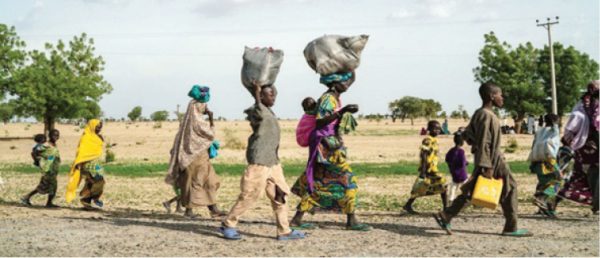 Borno State: Auno community attacked by insurgents