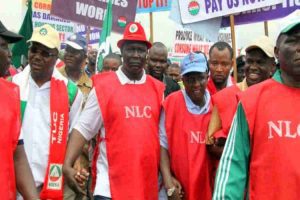 NLC1-Wabba-leads