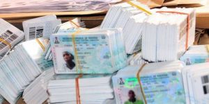PVCs Collection