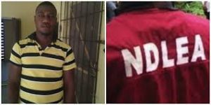 Ondo NDLEA