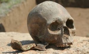 Skull Abuja