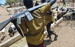 herdsmen