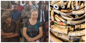 Ivory Queen-Tanzania