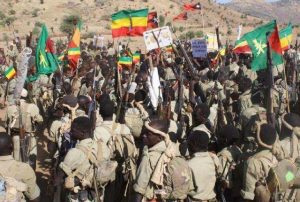 Benishangul-Gumuz-TVC