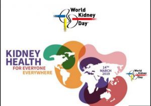 Kidney