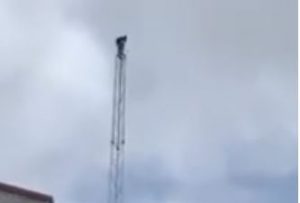Mast2