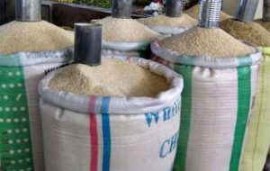 Rice