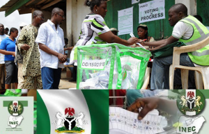 adamawa poll