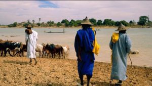 fULANI