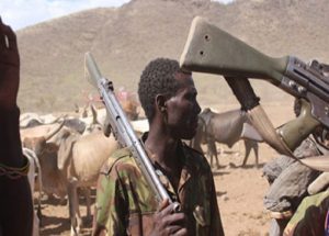 Herdsmen attack
