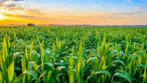 aGRIC