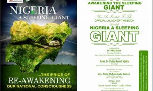 Nigeria: Reawakening Giant