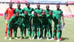 Golden Eaglets