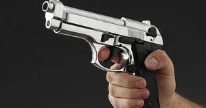 Gun Zaria