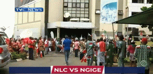 NLC 2