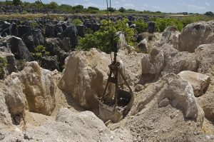 Phosphate