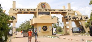 Plateau Poly