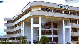 court-of-appeal