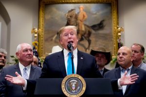 President Trump