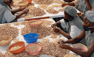 cashewnut