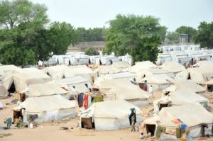 Dalori camp