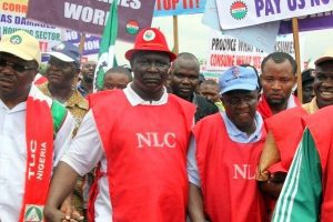 NLC Wage
