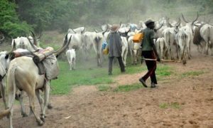RUGA Settlement