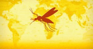 Bauchi state confirms outbreak of yellow fever