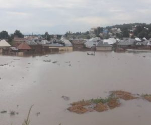 adamawa