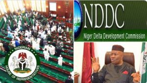 Rpes NDDC TVC