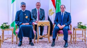 Buhari -Sisi