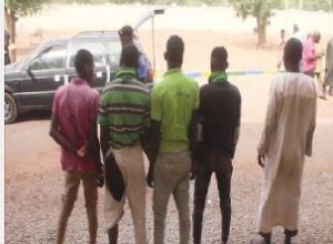 Cattle rustlers