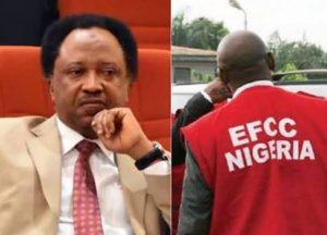 Shehu-Sani-4