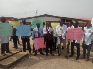 UNIMED-Doctors