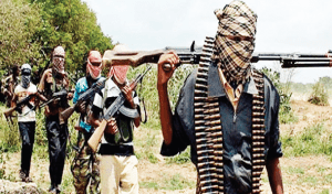 Kaduna gunmen tvc