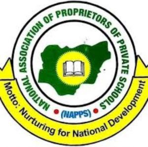 napps