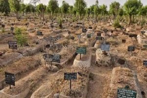 Mass deaths in Kano-TVC