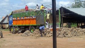 Trucks-of-foodstuffs