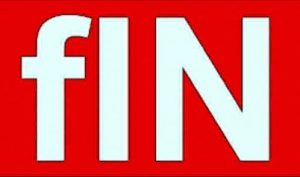 fin