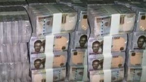 naira tvc