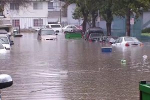 Yobe_floods_750x499