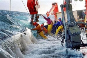 seaferers-at-sea_750x499